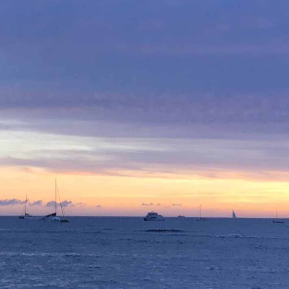 Meet your Posher, Isabelle